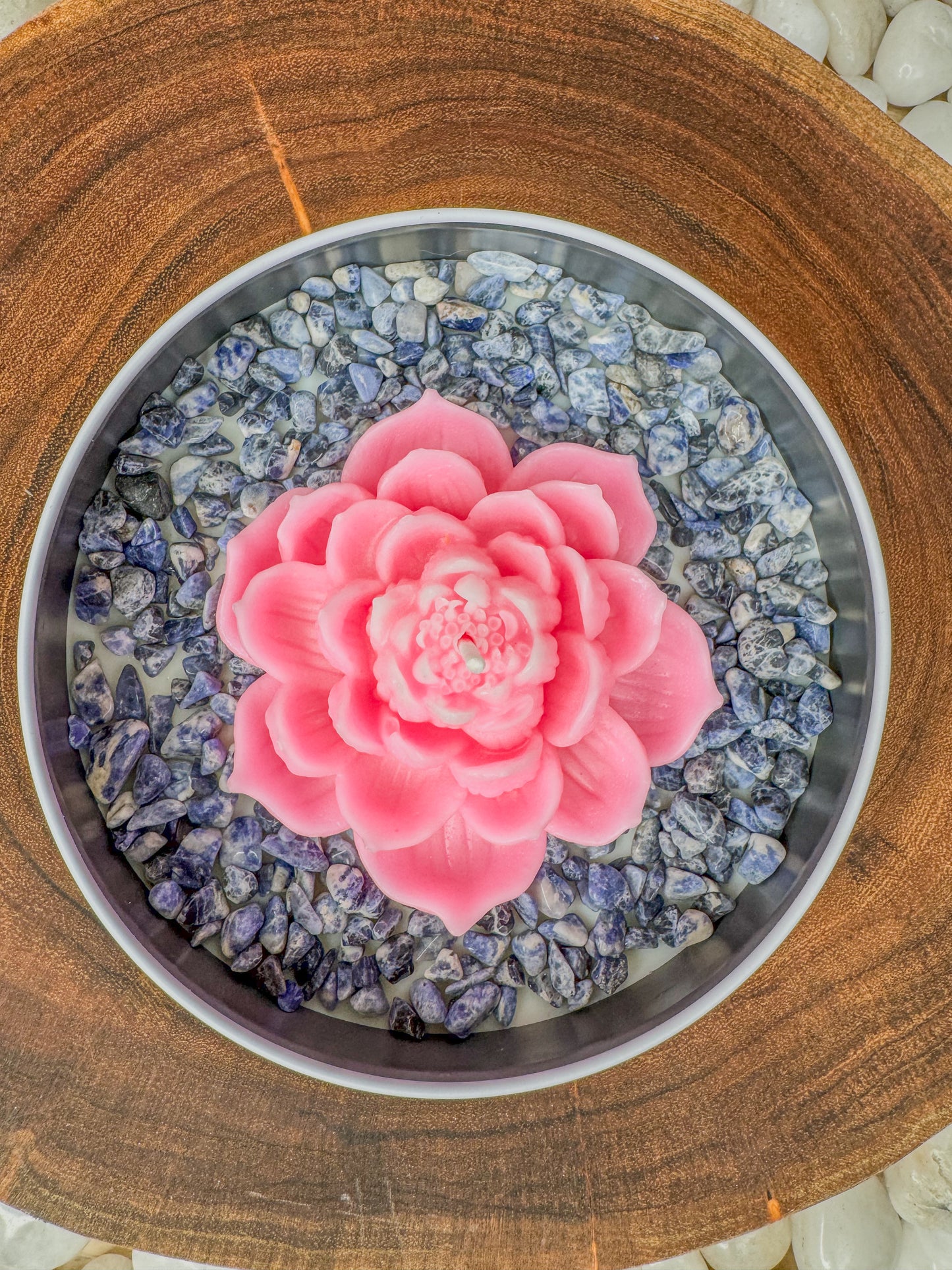 The Bloom Collection