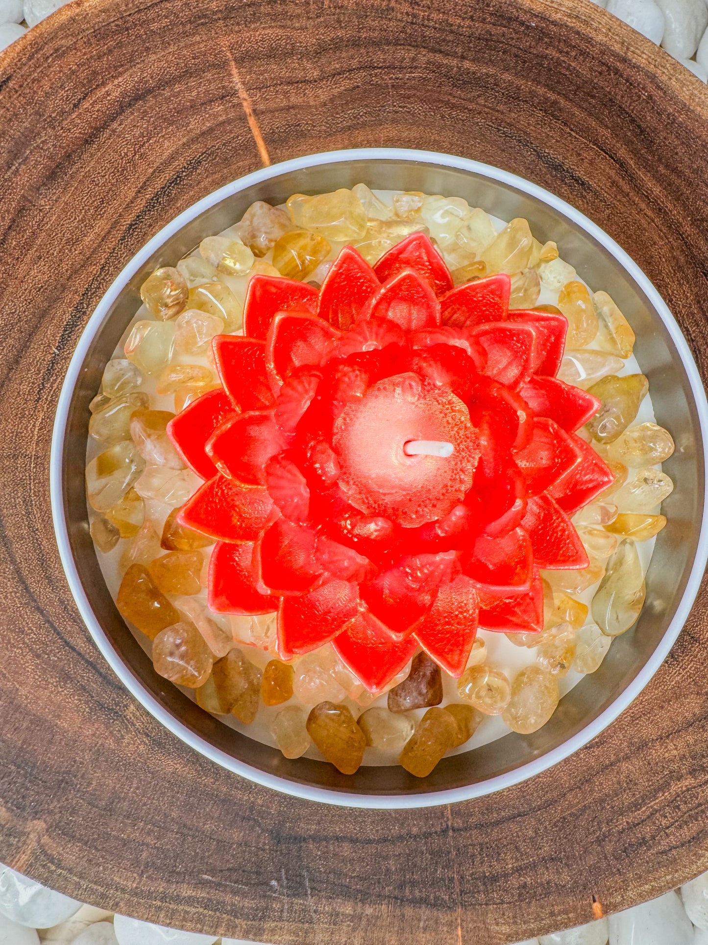 The Bloom Collection