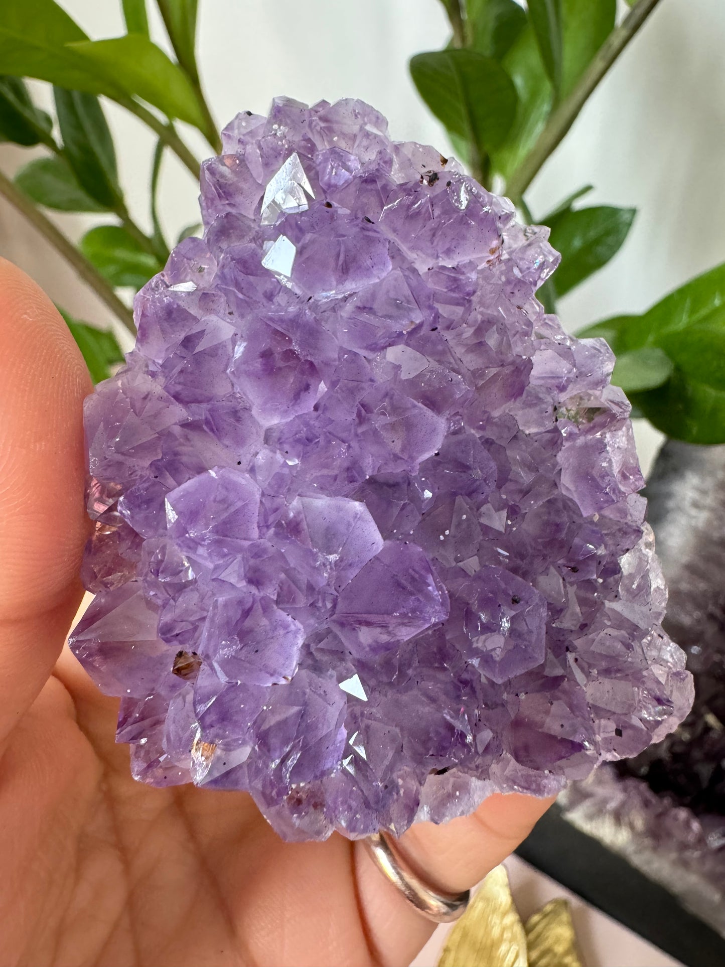 AMETHYST CLUSTER