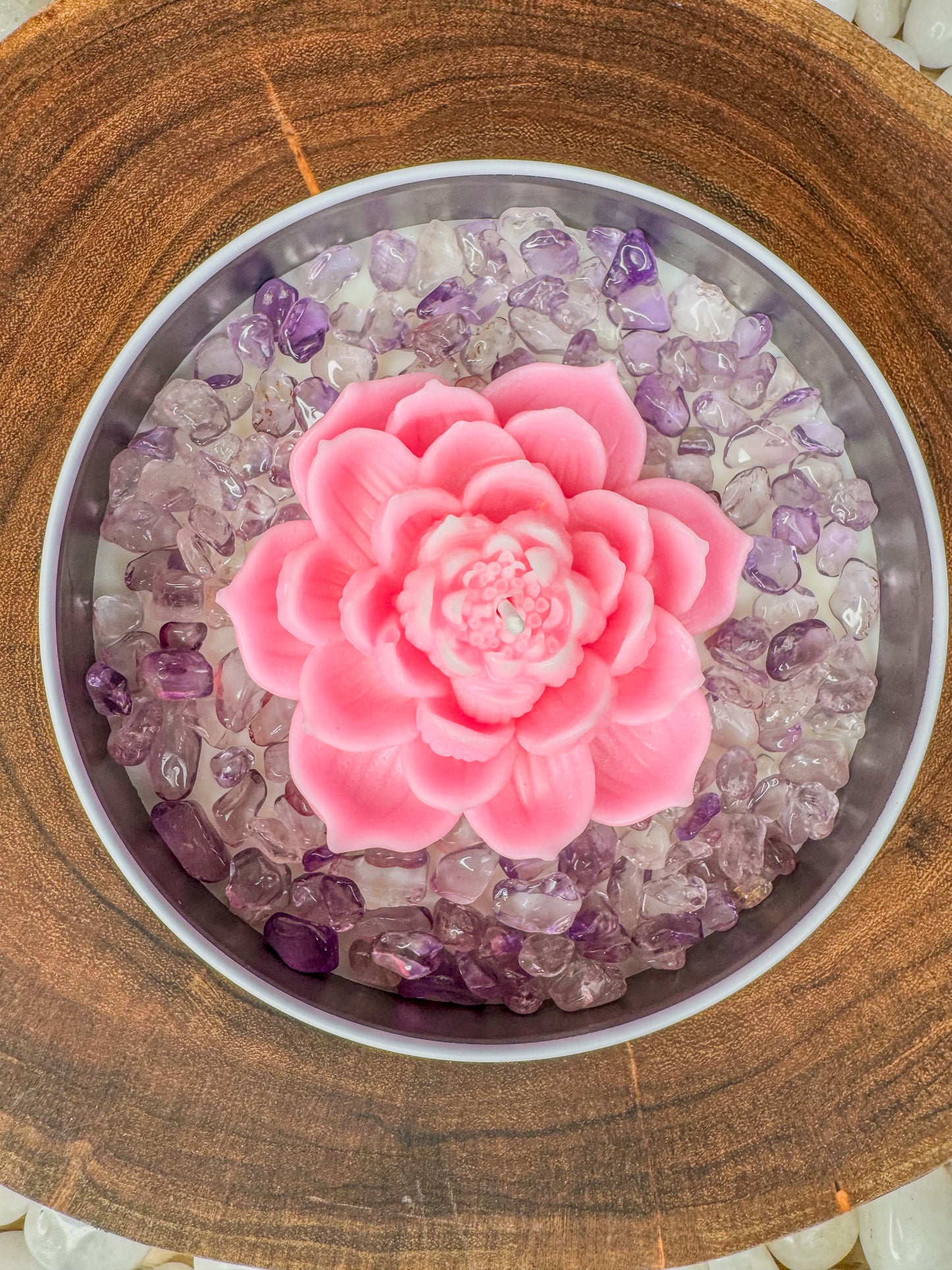 The Bloom Collection