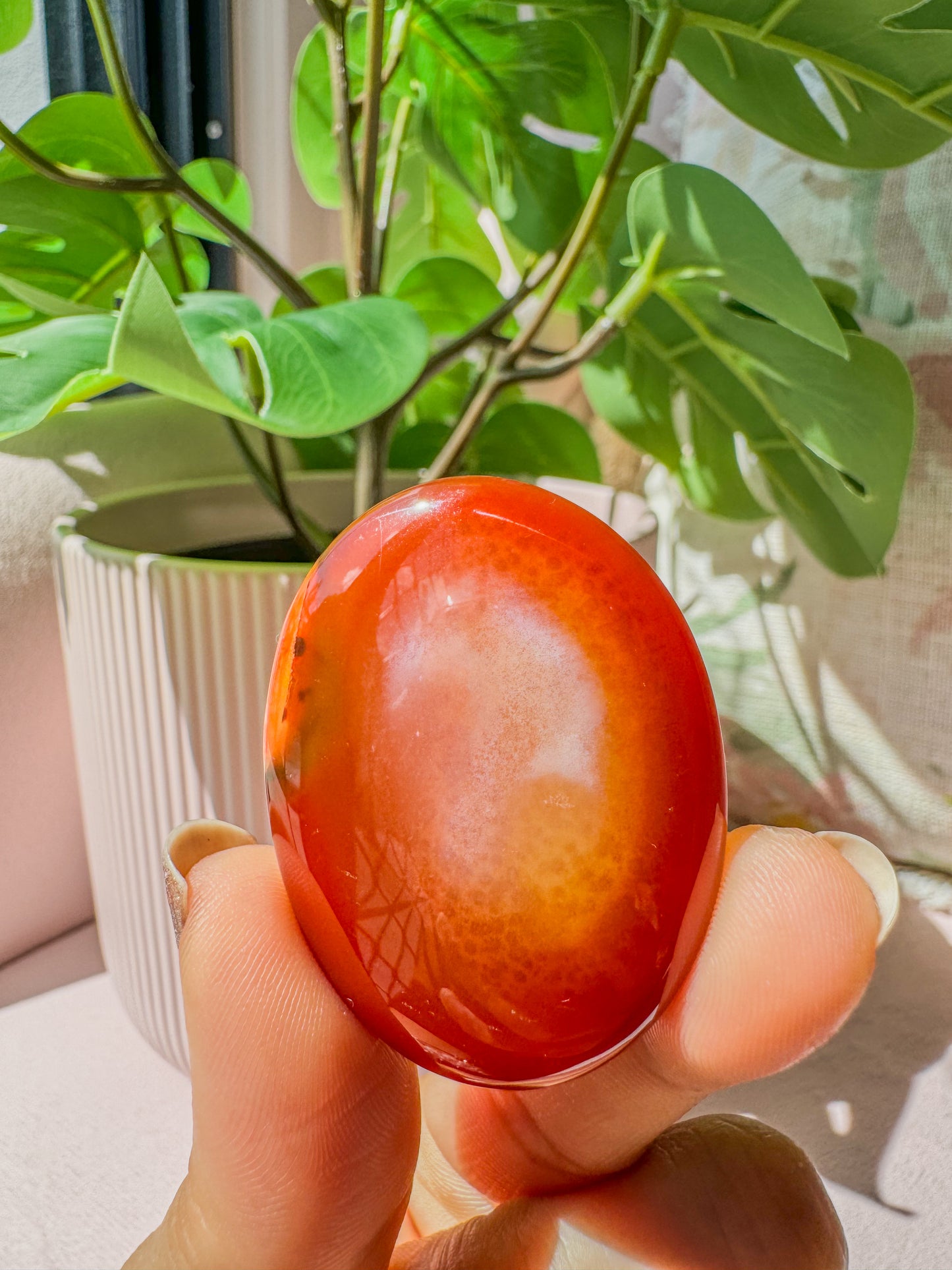 CARNELIAN PALM CRYSTAL