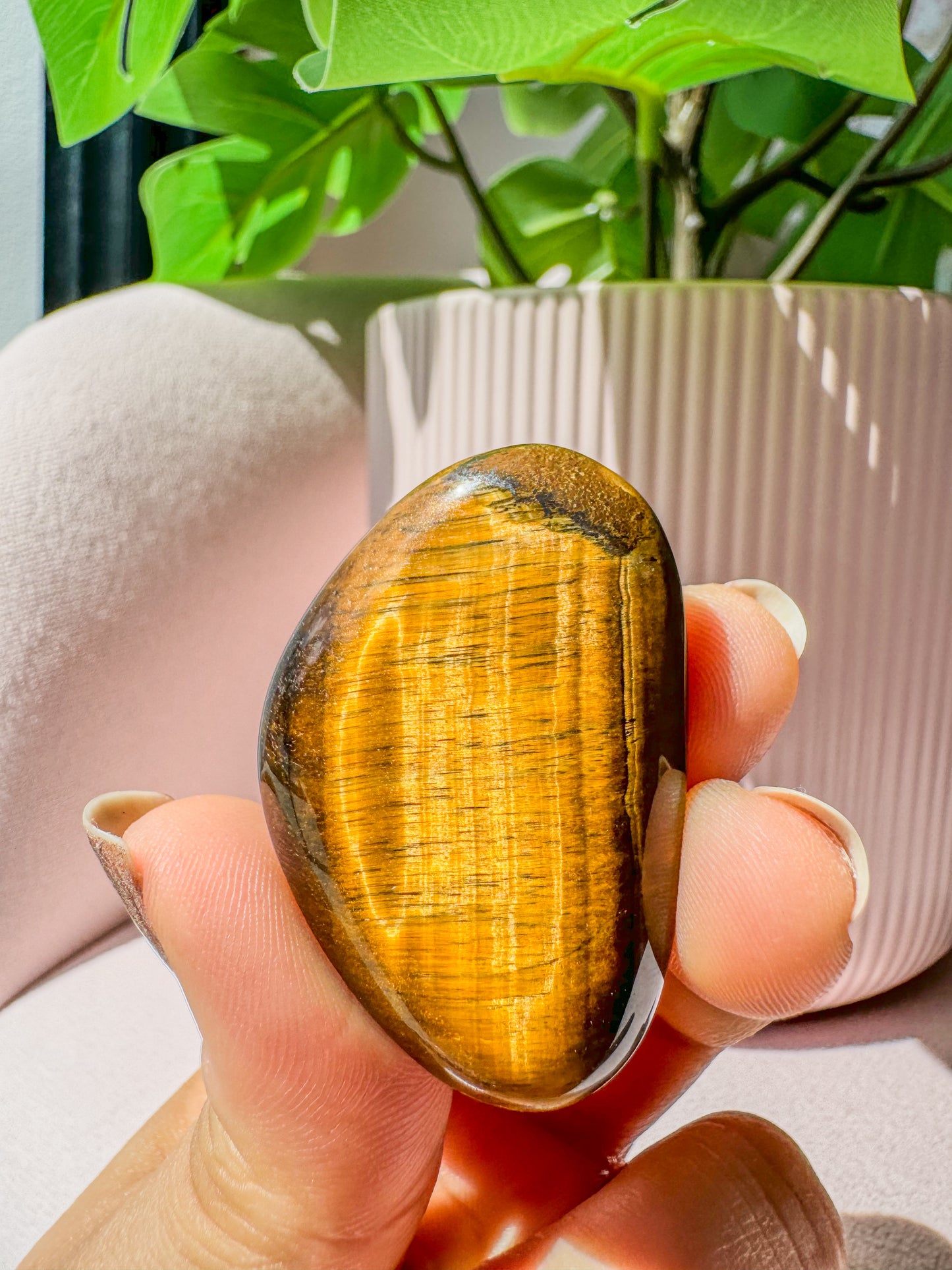 TIGER EYE PALM CRYSTAL