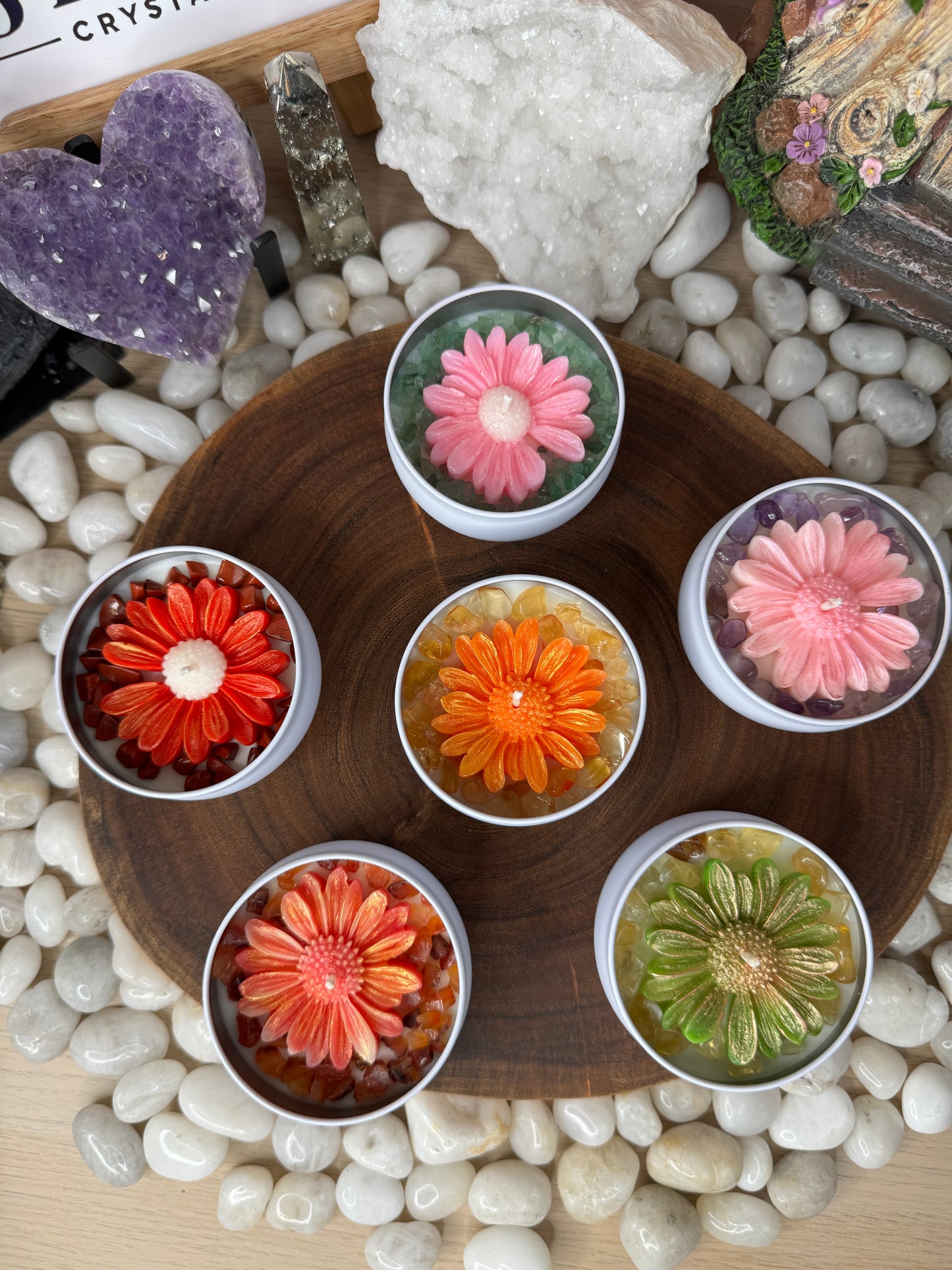 The Daisy Dreams Collection