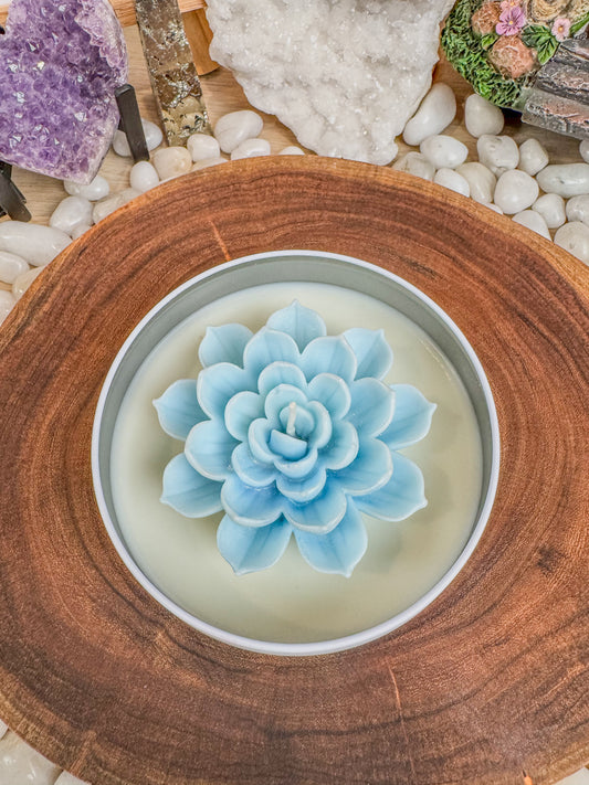 Blue Lotus - Bloom Collection