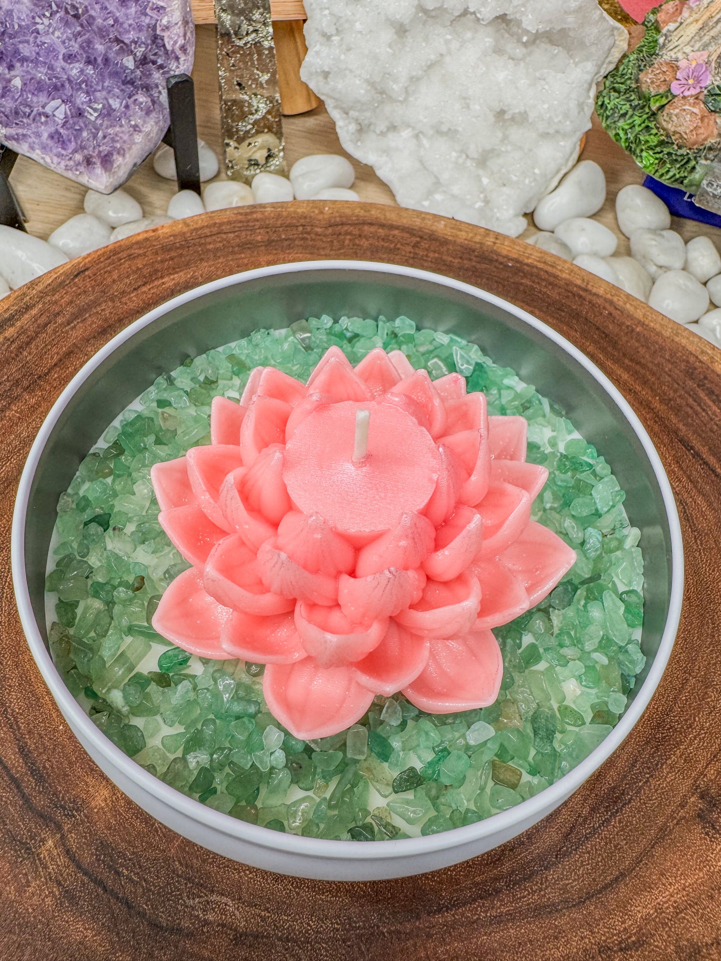 The Bloom Collection