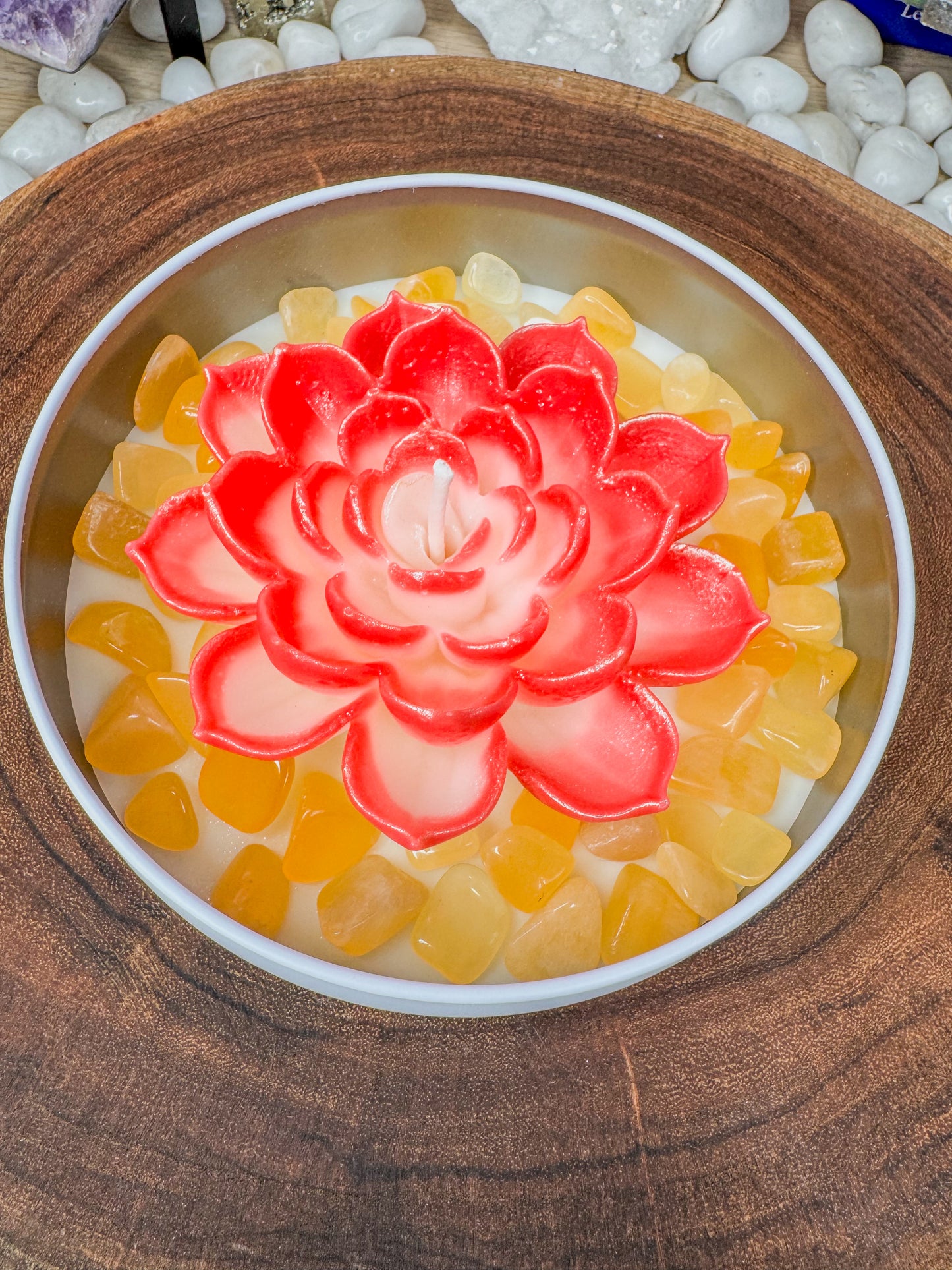 The Bloom Collection